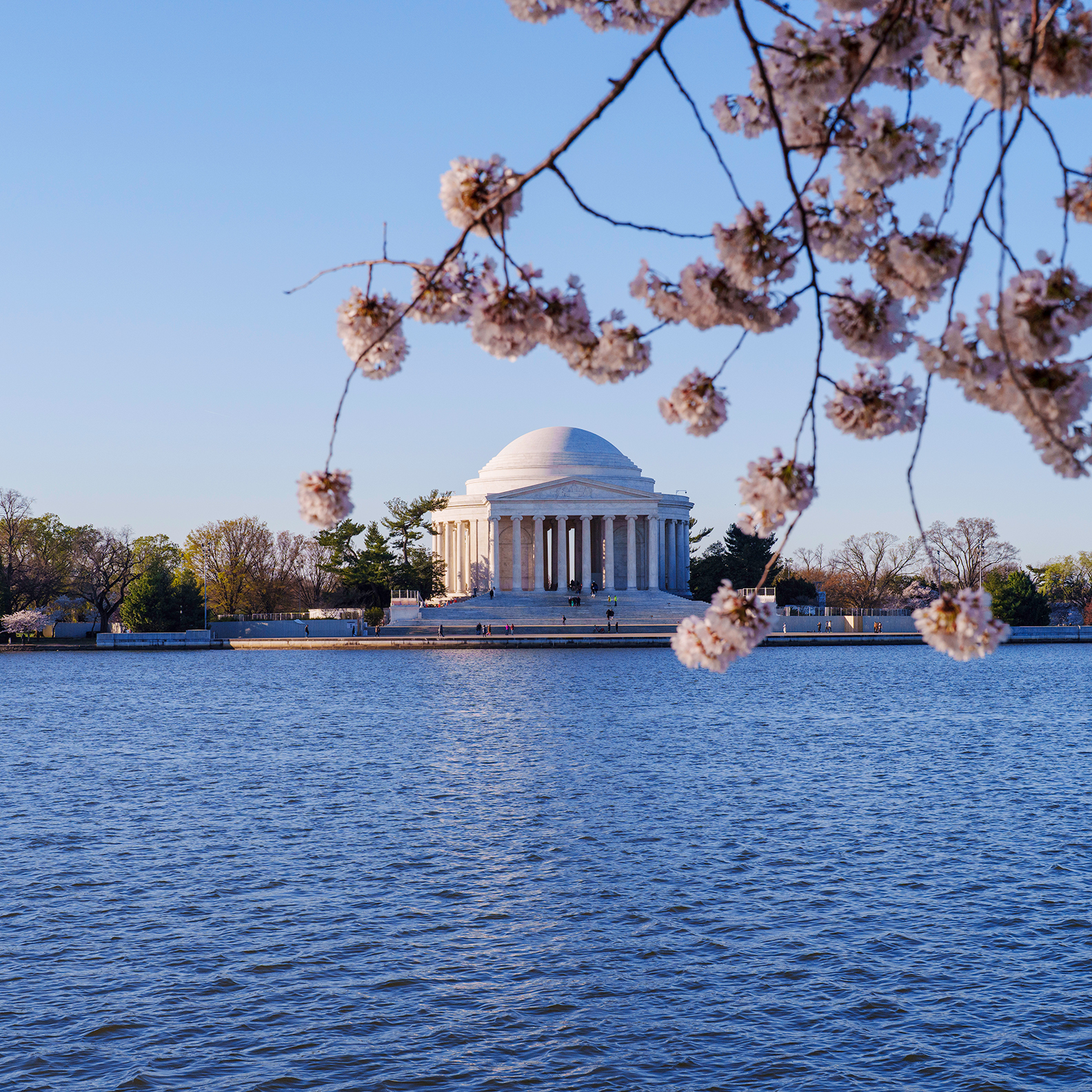 Jefferson Memorial